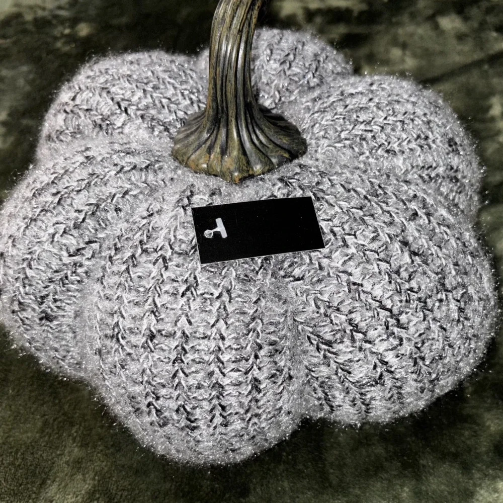 Sparkly Gray Knit Pumpkin Fall Autumn‎ Home Decor Accent Table Centerpiece